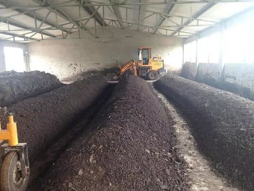 三農日報 新型農業經營者追逐規模效益，糞污變“綠肥”獲政策加持