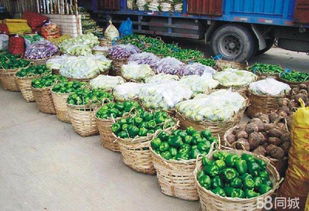 廣州農產品全鏈條配送服務 從田間到餐桌的一站式解決方案